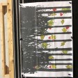 Archery image